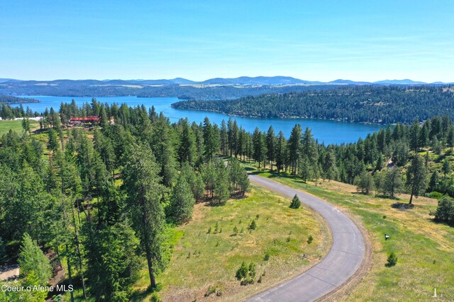 L192 S Basalt Dr, Coeur Dalene, ID 83814