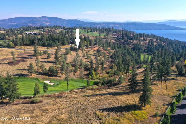 L192 S Basalt Dr, Coeur Dalene, ID 83814