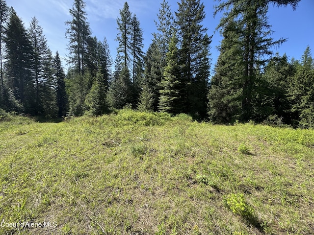NNA Tanglewood Dr, Priest River, ID 83856