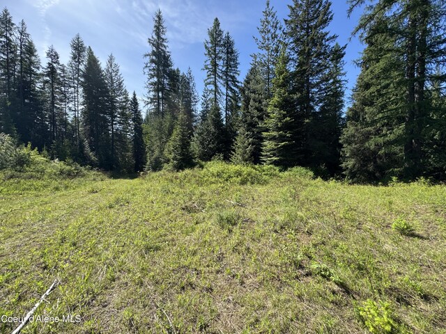 NNA Tanglewood Dr, Priest River, ID 83856