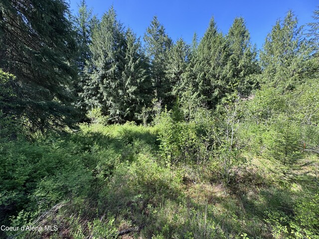 NNA Tanglewood Dr, Priest River, ID 83856