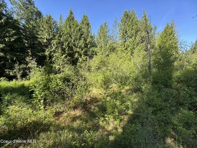 NNA Tanglewood Dr, Priest River, ID 83856