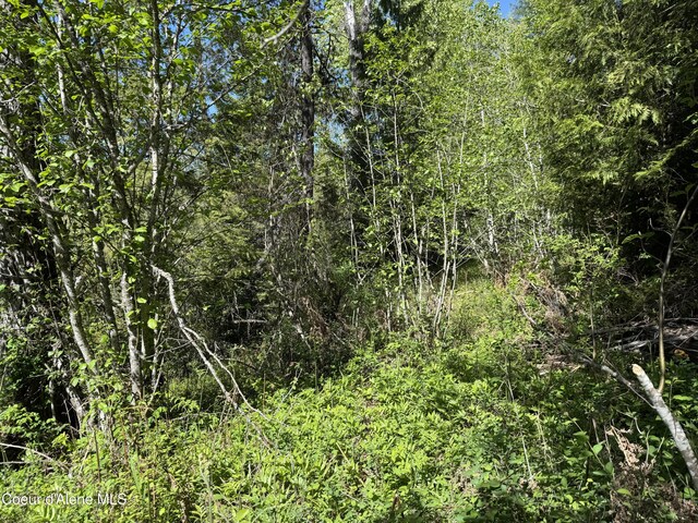 NNA Tanglewood Dr, Priest River, ID 83856