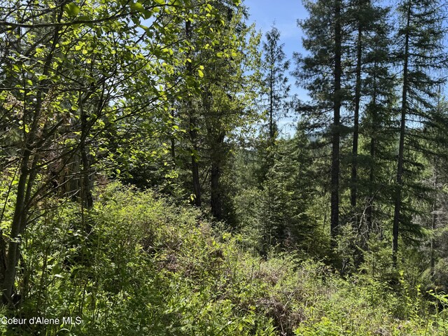 NNA Tanglewood Dr, Priest River, ID 83856