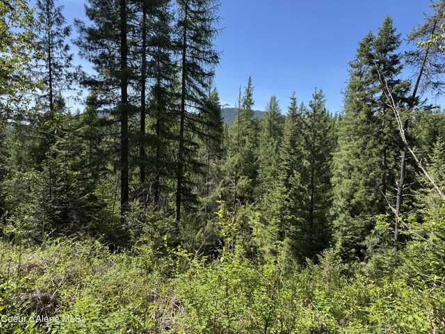 NNA Tanglewood Dr, Priest River, ID 83856