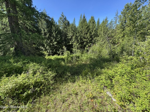 NNA Tanglewood Dr, Priest River, ID 83856