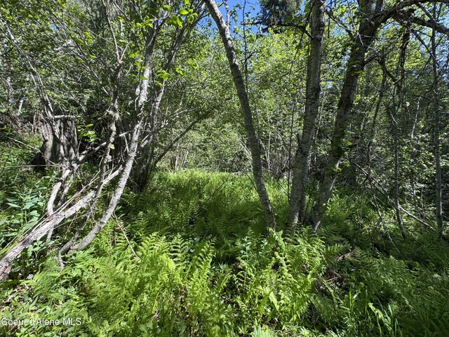 NNA Tanglewood Dr, Priest River, ID 83856
