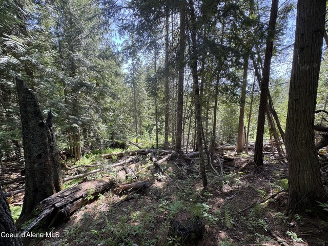 NNA Tanglewood Dr, Priest River, ID 83856