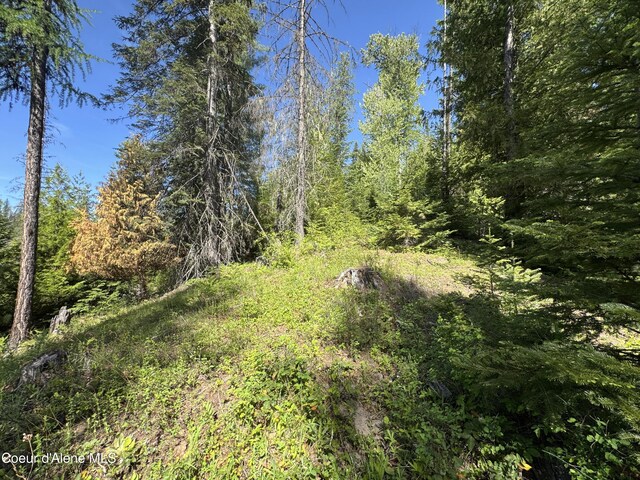 NNA Tanglewood Dr, Priest River, ID 83856