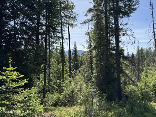 NNA Tanglewood Dr, Priest River, ID 83856