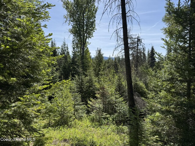 NNA Tanglewood Dr, Priest River, ID 83856