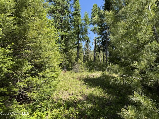 NNA Tanglewood Dr, Priest River, ID 83856