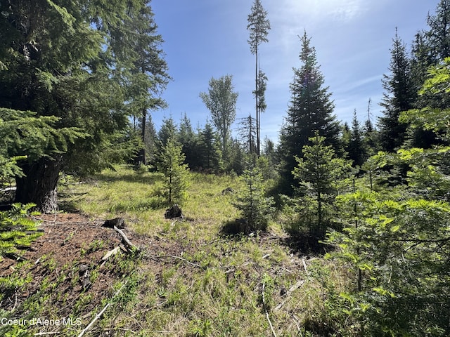NNA Tanglewood Dr, Priest River, ID 83856