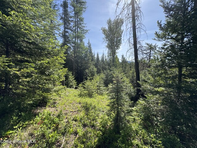 NNA Tanglewood Dr, Priest River, ID 83856