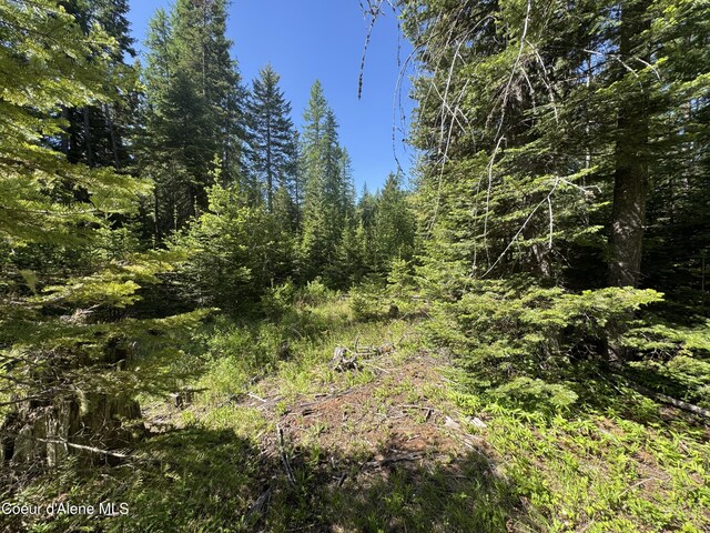 NNA Tanglewood Dr, Priest River, ID 83856