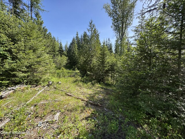 NNA Tanglewood Dr, Priest River, ID 83856