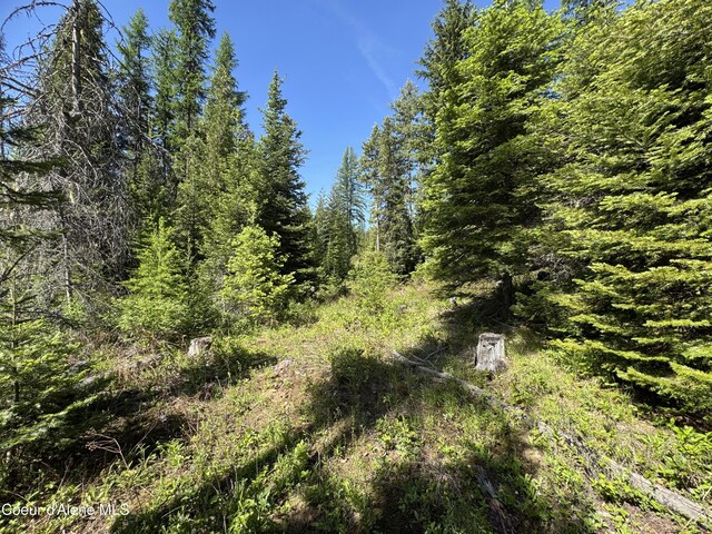 NNA Tanglewood Dr, Priest River, ID 83856