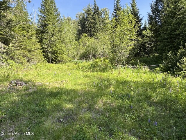 NNA Tanglewood Dr, Priest River, ID 83856
