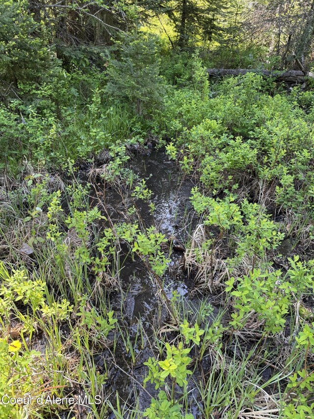 NNA Tanglewood Dr, Priest River, ID 83856