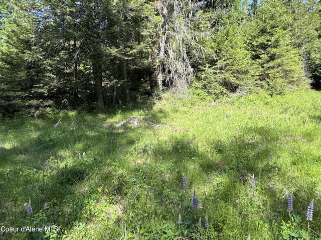 NNA Tanglewood Dr, Priest River, ID 83856