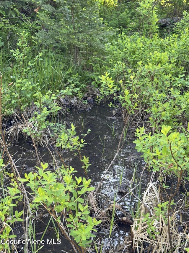 NNA Tanglewood Dr, Priest River, ID 83856
