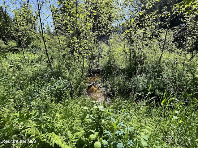 NNA Tanglewood Dr, Priest River, ID 83856