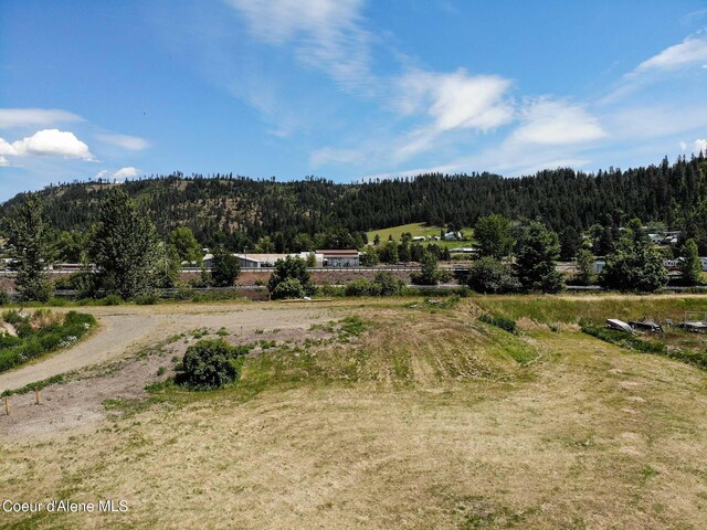 397 E Meadowhurst Dr, Saint Maries, ID 83861