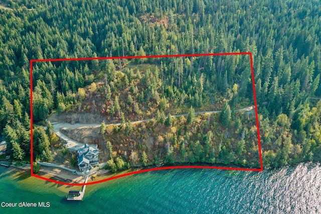 bird's eye view with a forest view