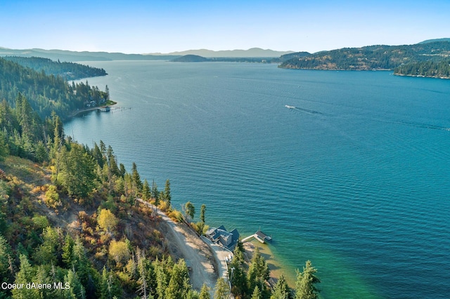 water view featuring a mountain view