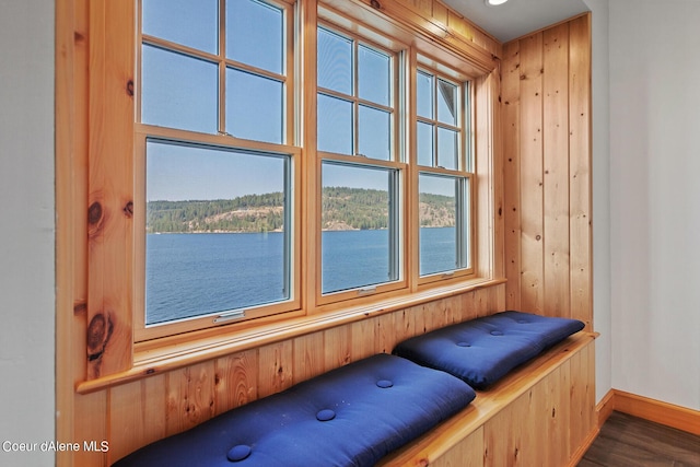 interior space featuring a water view, wood walls, baseboards, and wood finished floors