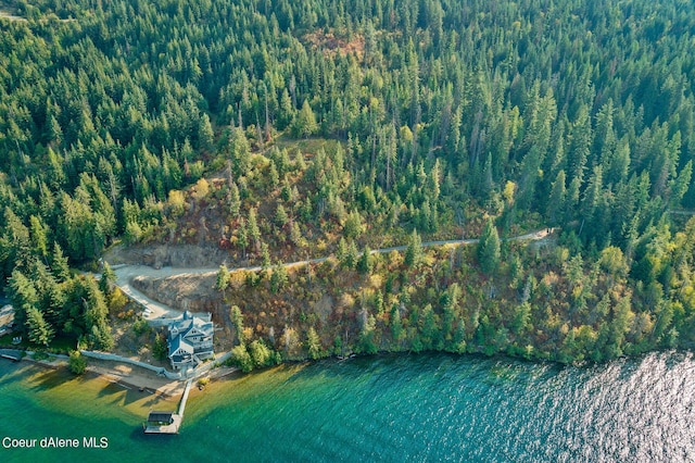 birds eye view of property featuring a wooded view