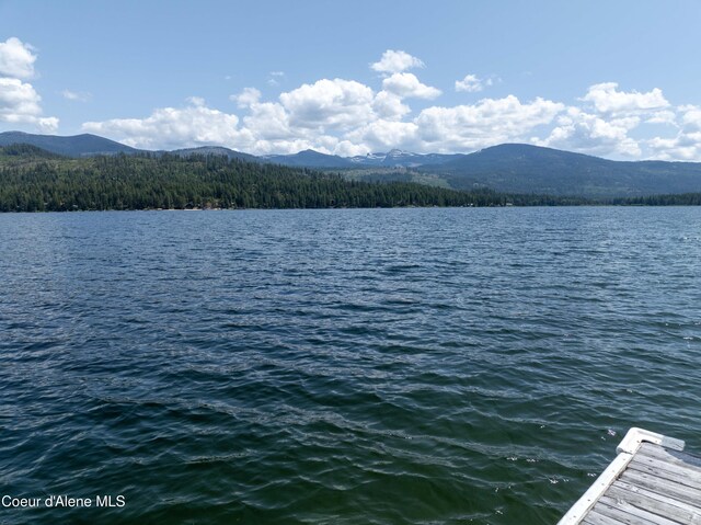 733 Hagman Rd, Nordman, ID 83848 - photo 29