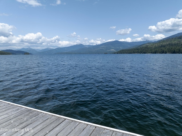 733 Hagman Rd, Nordman, ID 83848 - photo 30
