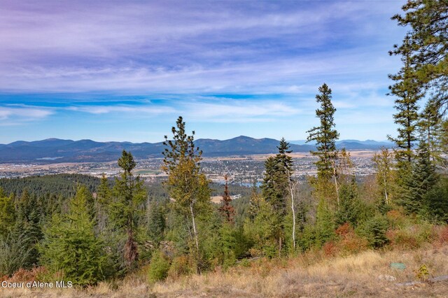 3203 S Mellick Rd, Post Falls, ID 83854 - photo 9