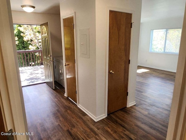 hall with baseboards, electric panel, and dark wood finished floors