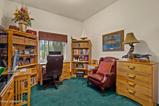 view of carpeted office