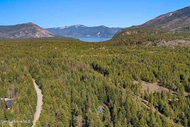 mountain view with a view of trees