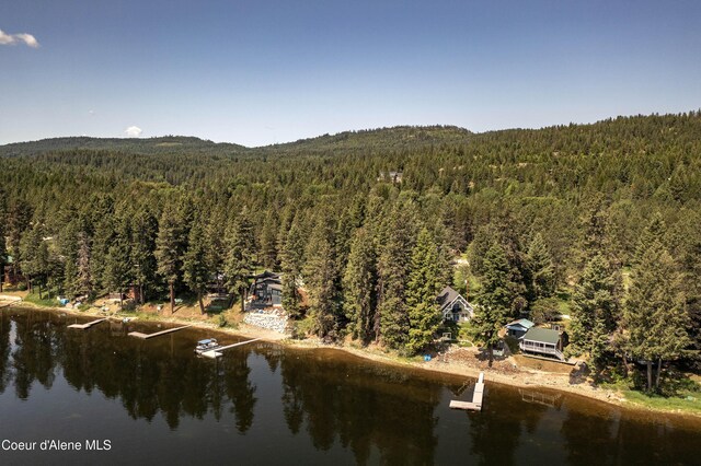 307 Quinns Ln, Cocolalla, ID 83813 - aerial view of a forest and a nearby body of water
