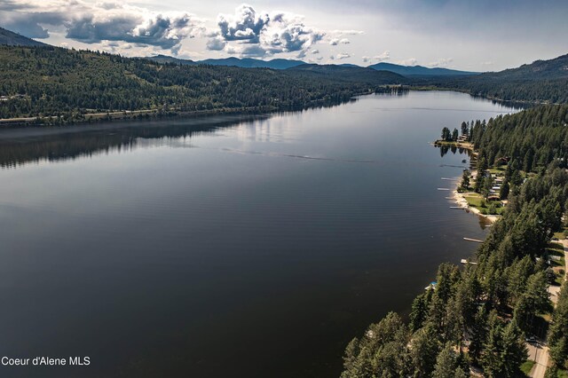 307 Quinns Ln, Cocolalla, ID 83813 - water view featuring a forest and a mountain backdrop
