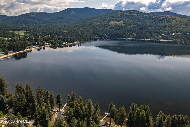 307 Quinns Ln, Cocolalla, ID 83813 - drone / aerial view of a heavily wooded area and a water and mountain view