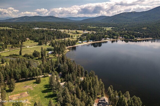307 Quinns Ln, Cocolalla, ID 83813 - aerial view of a forest and a water and mountain view
