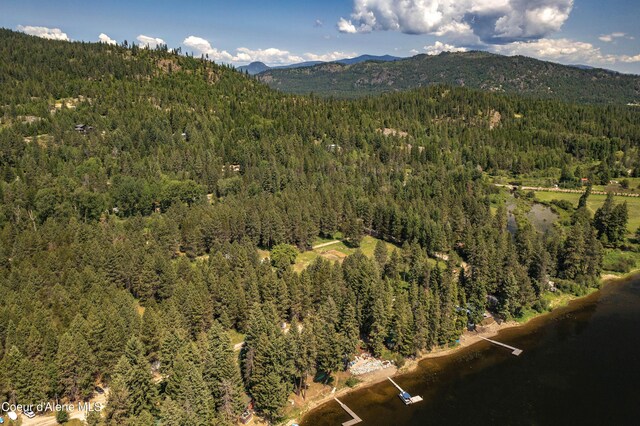 307 Quinns Ln, Cocolalla, ID 83813 - aerial view of property's location featuring a forest and a water and mountain view