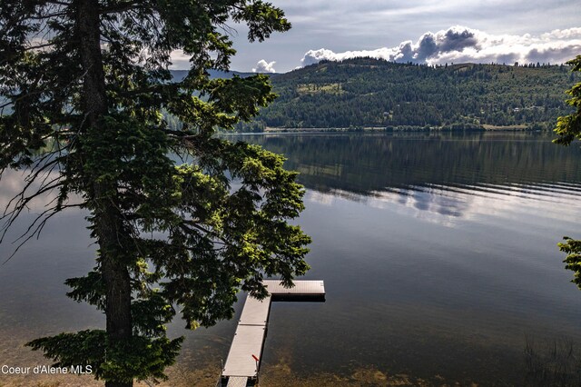 307 Quinns Ln, Cocolalla, ID 83813 - water view with a heavily wooded area, a mountainous background, and a boat dock
