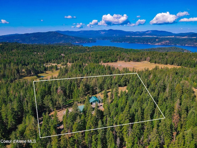 5758 E Burma Rd, Harrison, ID 83833 - bird's eye view with a view of trees and a water and mountain view