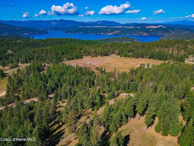 5758 E Burma Rd, Harrison, ID 83833 - bird's eye view featuring a view of trees and a water and mountain view