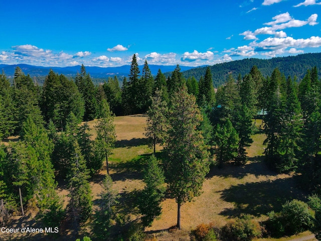 5758 E Burma Rd, Harrison, ID 83833 - property view of mountains with a view of trees