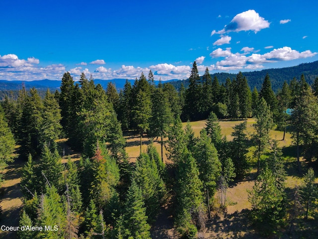 5758 E Burma Rd, Harrison, ID 83833 - mountain view with a wooded view