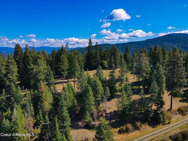 5758 E Burma Rd, Harrison, ID 83833 - view of mountain feature with a wooded view