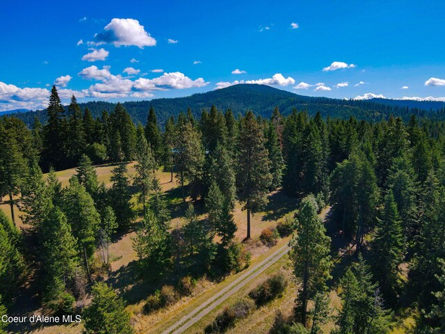 5758 E Burma Rd, Harrison, ID 83833 - drone / aerial view featuring a forest view and a mountain view