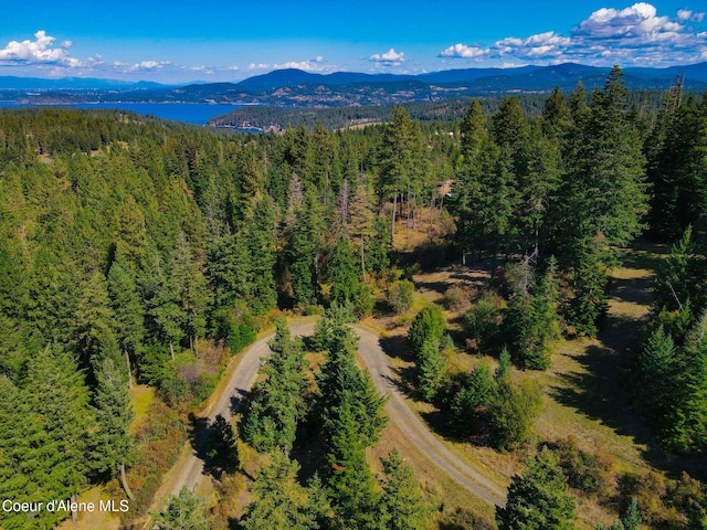 5758 E Burma Rd, Harrison, ID 83833 - aerial view featuring a forest view and a water and mountain view